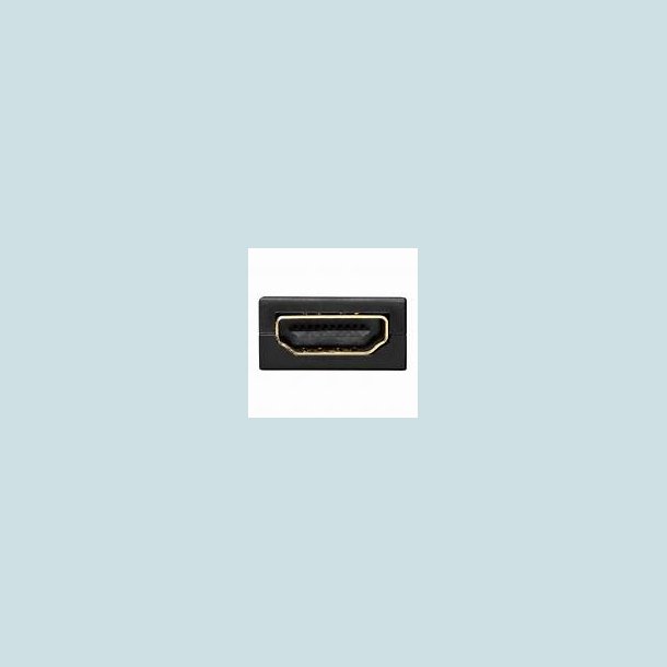 DisplayPort til HDMI adapter, hun