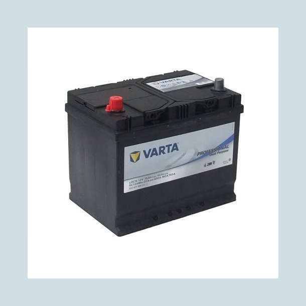 Varta Professional 12V 75Ah.