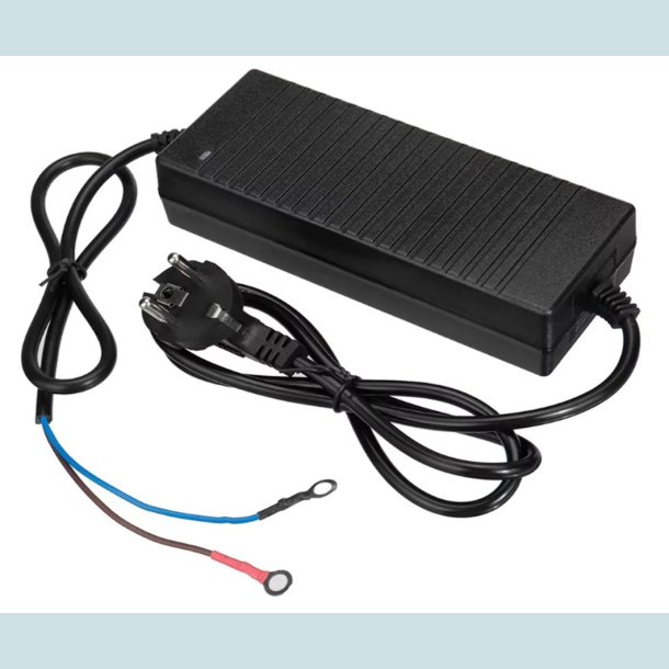 Str�mforsyning 110/220V, til 12V - 12A