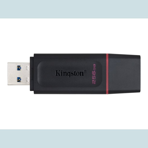 Kingston DataTraveler Exodia 256 GB USB